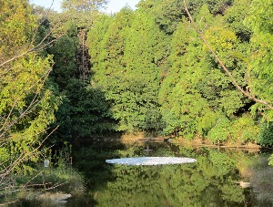 2011 Abiko Japan