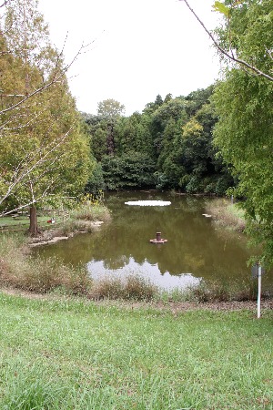 2011 Abiko Japan