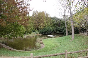 2011 Abiko Japan